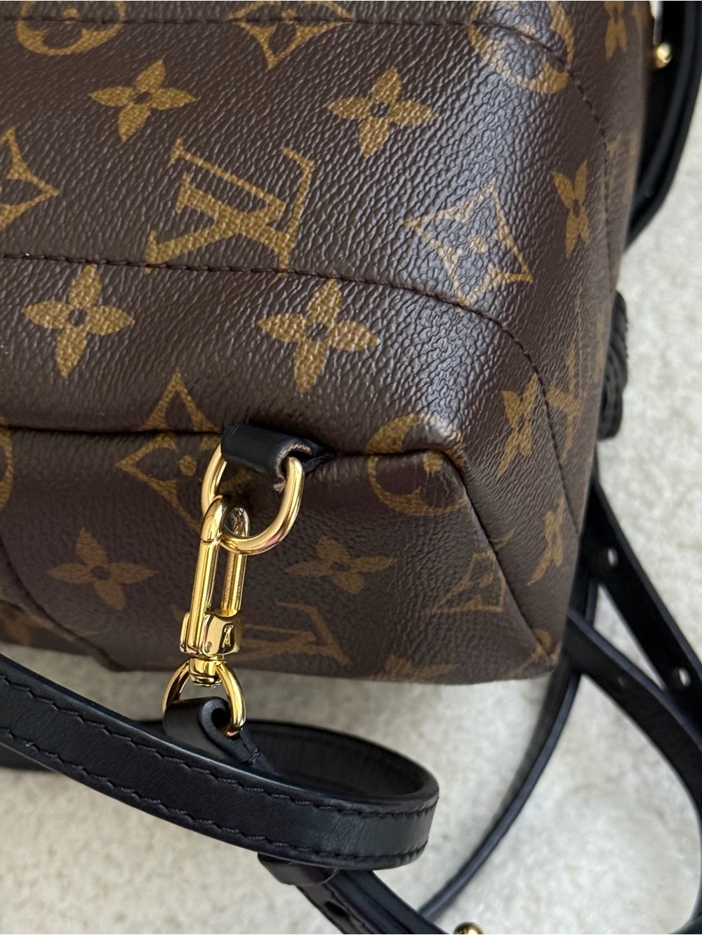 Louis Vuitton Palm Springs Mini Monogram Backpack - Picture 6 of 12